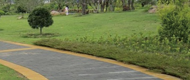 Permeable brick: technology allows the ground to breathe freely